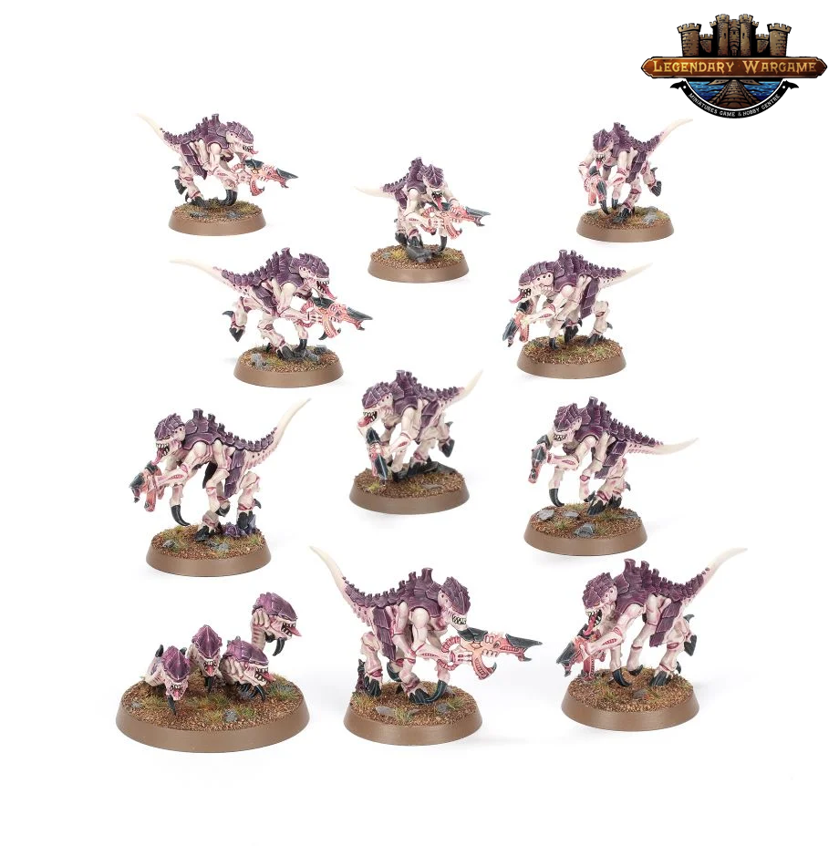 (GM) WARHAMMER 40K INTRODUCTORY SET (ENG)-1689784326.png