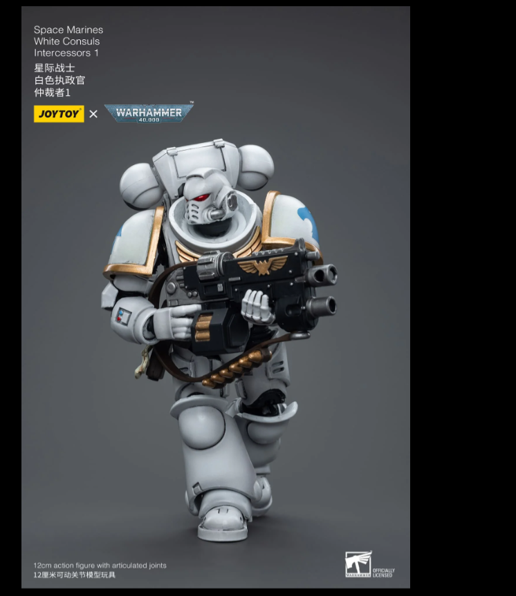 (JOYTOY) Space Marines White Consuls Intercessors 1 JT6847-1697271390.png