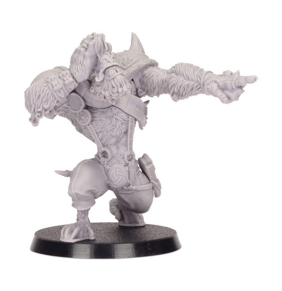 WARHAMAMER BLOOD BOWL: SKRORG SNOWPELT-1709396808-PrjUf.jpg