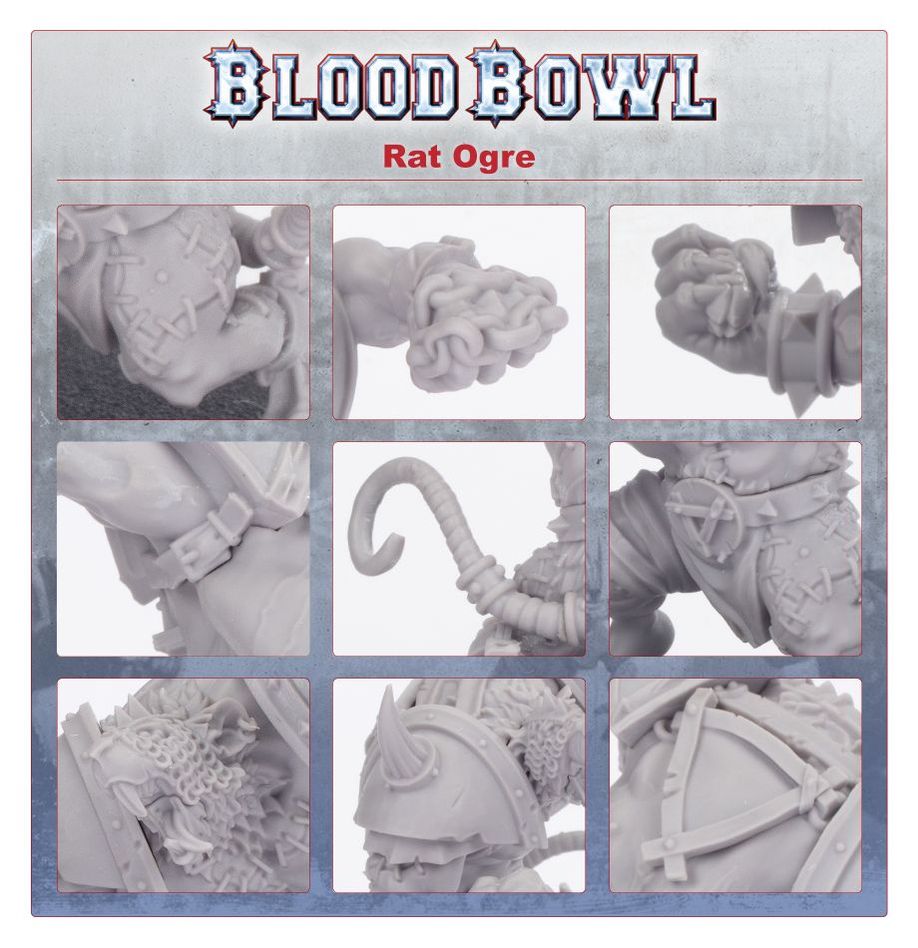 WARHAMAMER BLOOD BOWL: RAT OGRE-1709396970-wsVgh.jpg