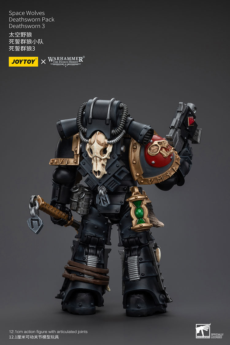 (JOYTOY) Space Wolves Deathsworn Pack Deathsworn 3 JT6090-1717770742-ztlc9.jpg