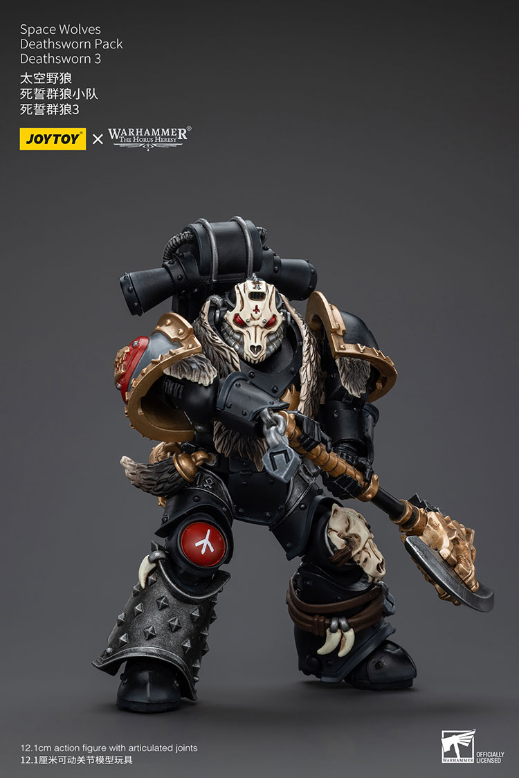 (JOYTOY) Space Wolves Deathsworn Pack Deathsworn 3 JT6090-1717770745-QKsH1.jpg