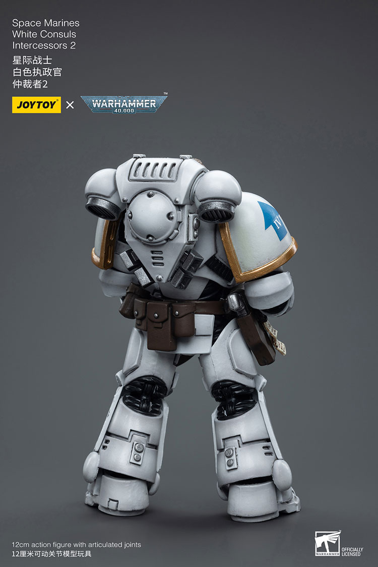 (JOYTOY) Space Marines White Consuls Intercessors 2 JT6854-1727960399-sDn40.jpg