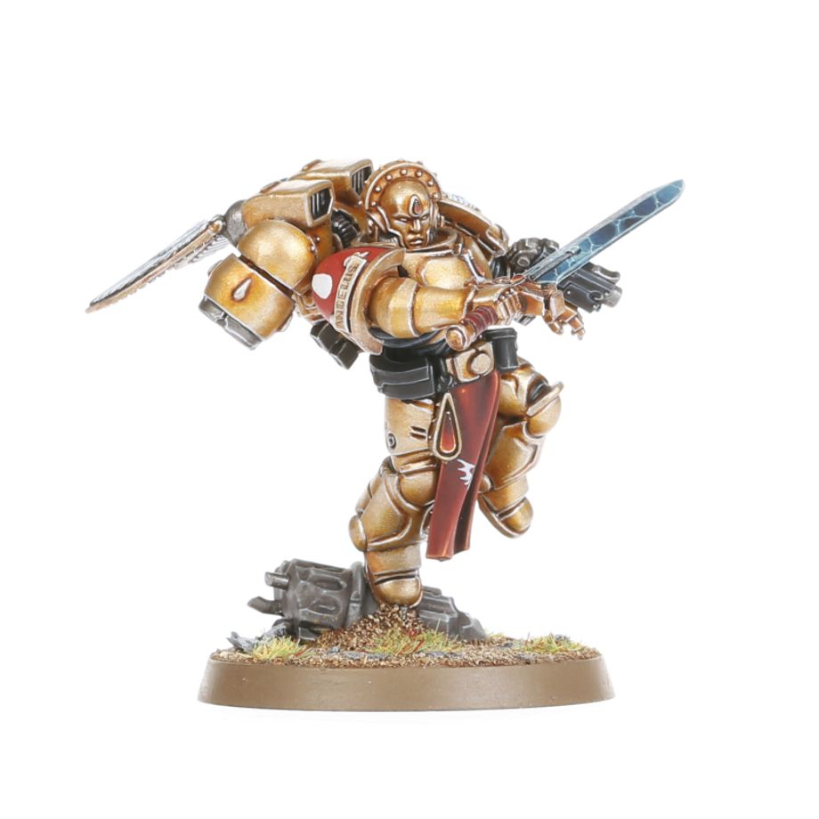WARHAMMER 40K BLOOD ANGELS: SANGUINARY GUARD-1734941448-vEeTK.jpg