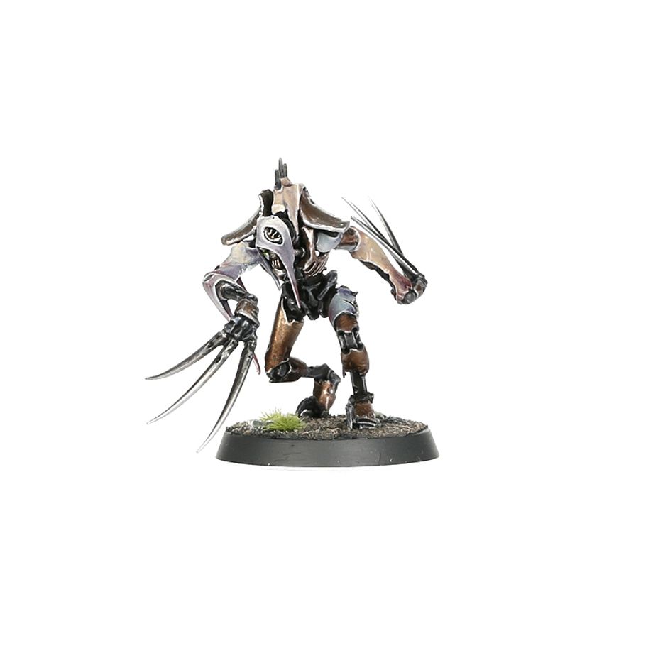 WARHAMMER 40K NECRONS: FLAYED ONES-1736334609-GVxW9.jpg