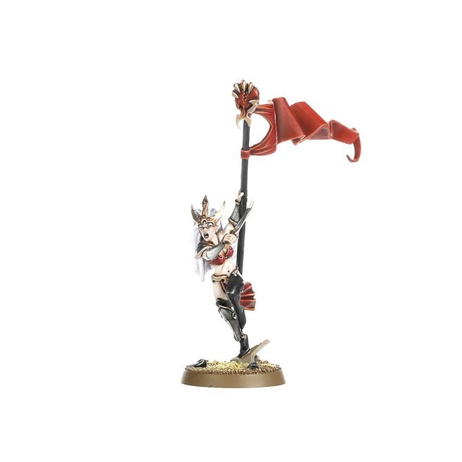 WARHAMMER AOS DAUGHTERS OF KHAINE: WITCH AELVES-1747842105-fbA8V.jpg
