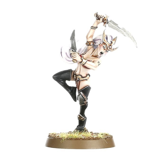 WARHAMMER AOS DAUGHTERS OF KHAINE: WITCH AELVES-1747842106-gh8vc.jpg