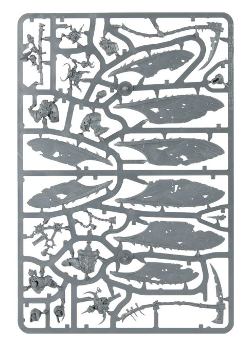 WARHAMMER AOS SPEARHEAD : MAGGOTKIN OF NURGLE-1748601672-oSRua.png