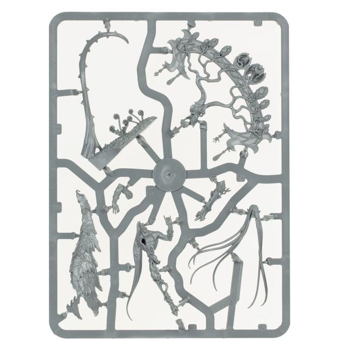 WARHAMMER AOS SYLVANETH: WARSONG REVENANT-1754153604-ieOL6.jpg