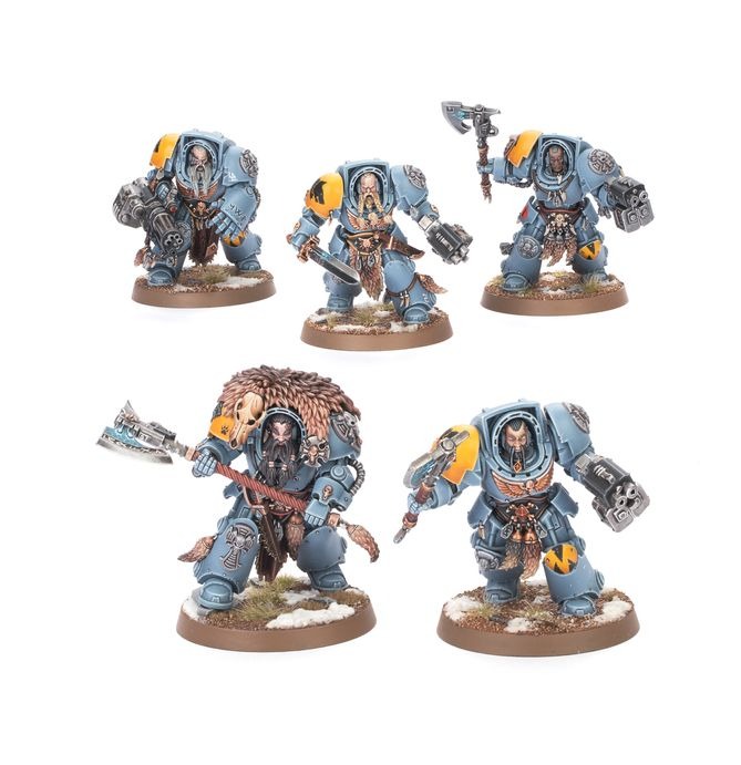 WARHAMMER 40K COMBAT PATROL: SPACE WOLVES-1754901885-SkQCh.jpg