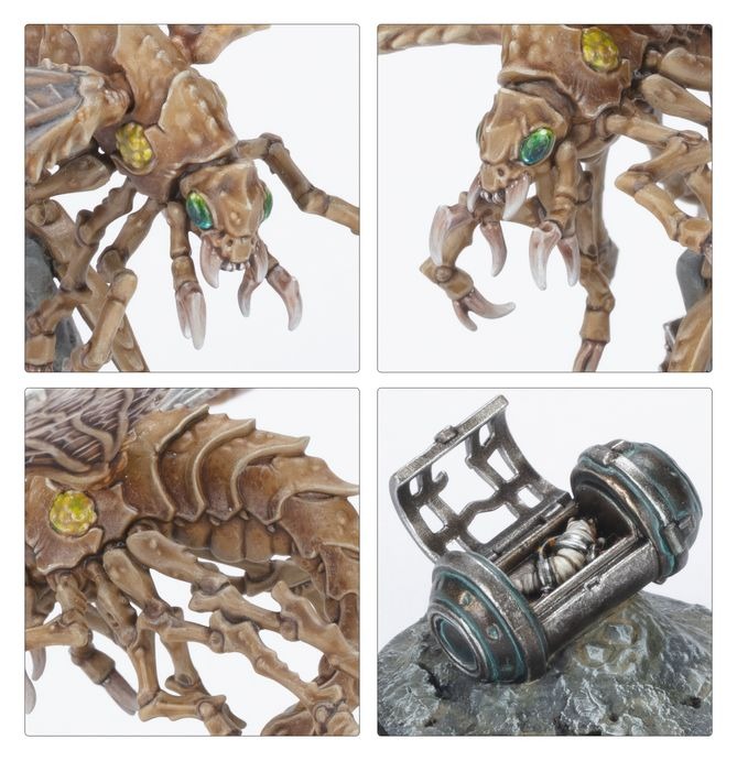 WARHAMMER NECROMUNDA: NOMADS ASHWING HELAMITES-1758878754-gYyUZ.jpg